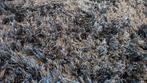 Vloerkleed carpet blauw  160x230, Ophalen, Gebruikt, Blauw, 150 tot 200 cm