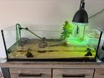Aquarium bak, Dieren en Toebehoren, Ophalen, Zo goed als nieuw, Leeg aquarium