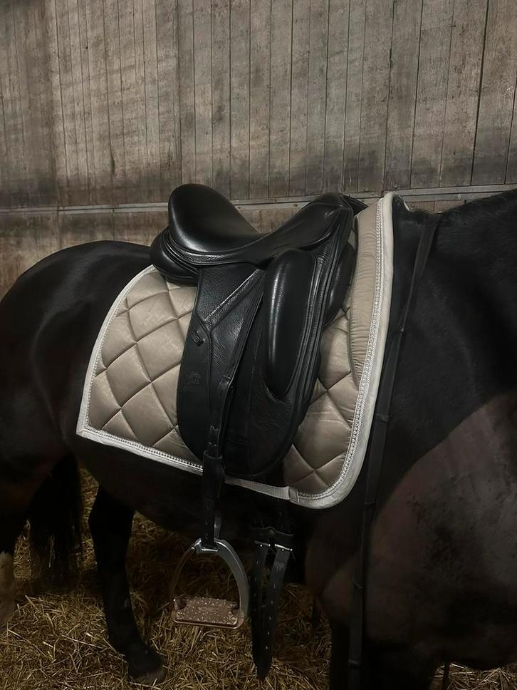 fairfax gareth, Dieren en Toebehoren, Paarden en Pony's | Zadels, Gebruikt, Dressuur, Ophalen of Verzenden