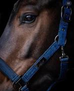 Mrs Ros halster Pony, Dieren en Toebehoren, Paarden en Pony's | Hoofdstellen en Tuigage, Ophalen of Verzenden, Zo goed als nieuw