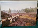 prent schapen op de veluwe, Huis en Inrichting, Woonaccessoires | Schilderijen, Tekeningen en Foto's, Ophalen of Verzenden