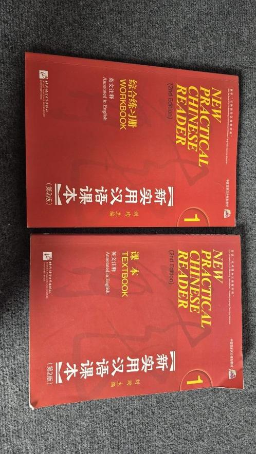 Chinese taal studieboek en werkboek ZGAN, Boeken, Studieboeken en Cursussen, Zo goed als nieuw, HBO, Alpha, Ophalen of Verzenden