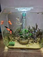 Biorb aquarium 30L met visjes., Dieren en Toebehoren, Vissen | Aquaria en Toebehoren, Ophalen, Zo goed als nieuw, Leeg aquarium