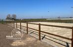 Omheining, Rijbak, Paddock, Weide, Afrastering, Hout, Dieren en Toebehoren, Weidegang, Sales@veldomheiningen.nl, Schaijk, 4 paarden of pony's of meer