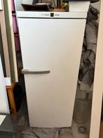 Vriezer Miele, Witgoed en Apparatuur, Vriezers en Diepvrieskisten, Gebruikt, 160 cm of meer, Ophalen, Vrieskast