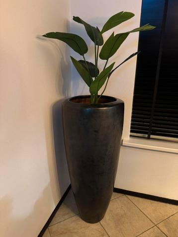 Prachtige bloempot / plantenbak hoogte 1,2m (geen plastic!) beschikbaar voor biedingen