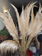 Pampasgras pluimen - decoratie, Ophalen, Zo goed als nieuw