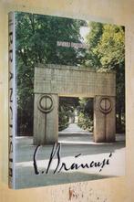 Constantin Brâncuși In Romania Barbu Brezianu beeldhouwkunst, Ophalen of Verzenden, Gelezen
