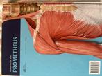 Prometheus Boek - Fysiotherapie Opleiding, Boeken, Ophalen of Verzenden, Beta, Zo goed als nieuw, HBO
