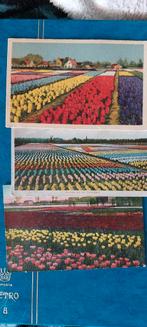 Ansichtkaarten Nederland, Ophalen of Verzenden, 1920 tot 1940, Ongelopen, Noord-Holland
