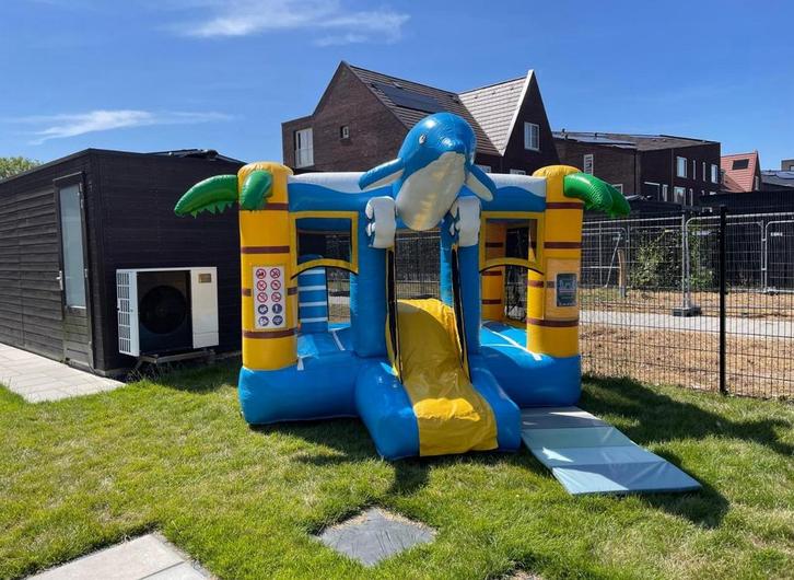 Springkussen dolfijn te huur, Hobby en Vrije tijd, Feestartikelen | Verhuur, Zo goed als nieuw, Overige, Ophalen of Verzenden