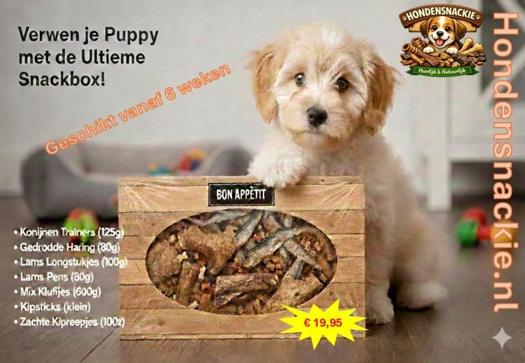 puppie snackbox, Ophalen of Verzenden, Hond