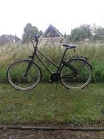 Cortina Blau, 55 tot 59 cm, Ophalen