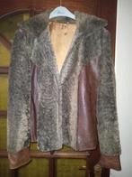 Mooie korte dames jas 100%Alpaca wol mt 40, Ophalen, Zo goed als nieuw, Maat 38/40 (M)