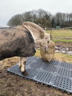 Mudcontrol platen, Dieren en Toebehoren, Ophalen, Overige soorten