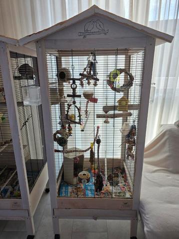 2 agapornissen (dwergpapegaaien) met voliere beschikbaar voor biedingen