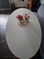 Mooie ovale tafel van loods 5, Huis en Inrichting, Tafels | Eettafels, 200 cm of meer, Kunststof, 100 tot 150 cm, Gebruikt