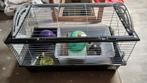 Cavia/konijnen kooi in goede staat + toebehoren, Dieren en Toebehoren, Knaagdieren en Konijnen | Hokken en Kooien, Kooi, Zo goed als nieuw
