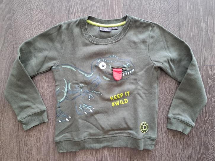 Jongens Trui Twoday  - 122/128   jusa17, Kinderen en Baby's, Kinderkleding | Maat 122, Zo goed als nieuw, Jongen, Trui of Vest