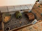 Konijnenhok / caviahok / kooi (half jaar oud), Kooi, 110 cm of meer, Cavia, Zo goed als nieuw