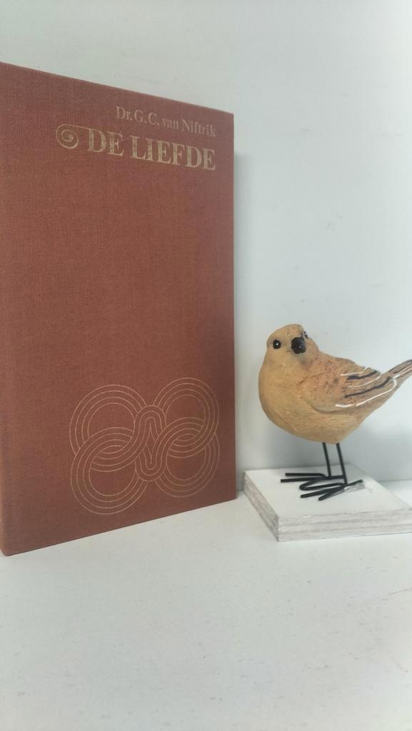 Niftrik, Dr. G.C. van; De liefde, Boeken, Godsdienst en Theologie, Gelezen, Christendom | Protestants, Ophalen of Verzenden