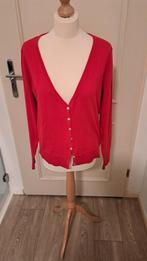 Vlot rood vestje maat XL, Hema, Ophalen of Verzenden, Zo goed als nieuw, Rood