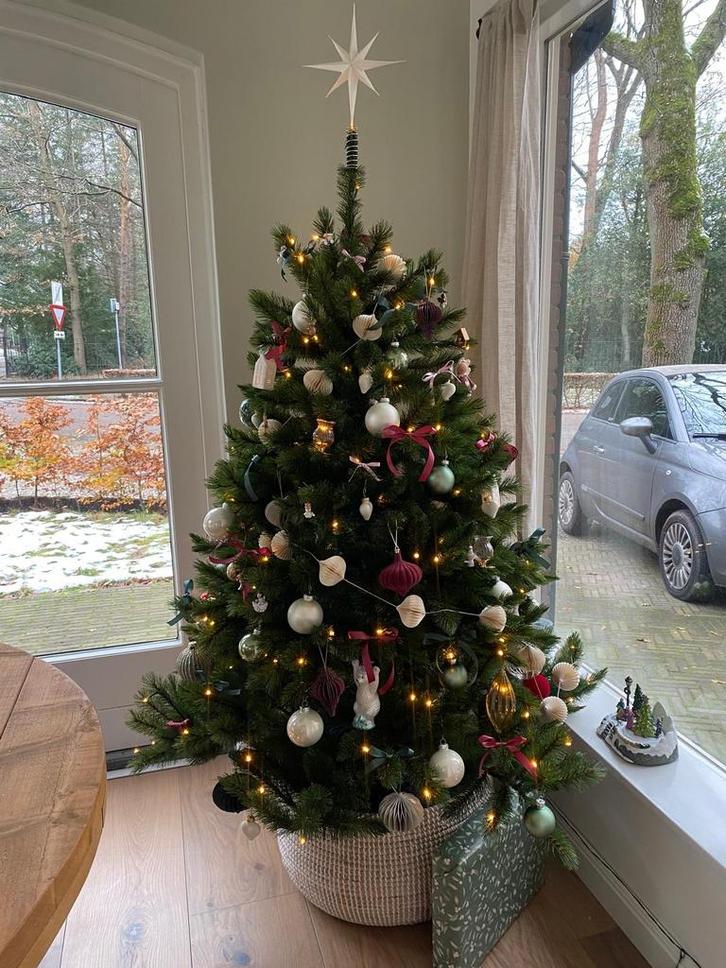 Triumph Tree Forest Frosted Romagne met verlichting, 155 cm, Diversen, Kerst, Zo goed als nieuw, Ophalen