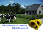 Drenthe vakantiehuis op de boerderij! na zomeren SEPTEMBER!, 8 personen, Wasmachine, 2 slaapkamers, Landelijk