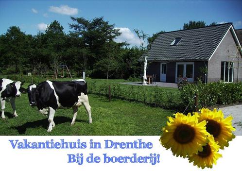 Drenthe vakantiehuis op de boerderij! na zomeren SEPTEMBER!, Vakantie, Vakantiehuizen | Nederland, Drenthe, Boerderij of Cottage