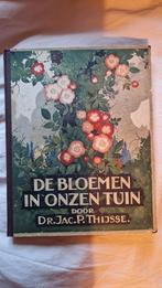 Verkade originele albums te koop., Boeken, Prentenboeken en Plaatjesalbums, Ophalen of Verzenden, Gelezen