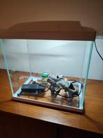 Aquarium 25 liter Superfish met licht, pomp plus toebehoren, Ophalen of Verzenden, Gebruikt, Leeg aquarium