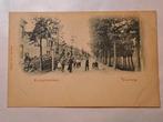 Voorburg, koninginnenlaan, Ophalen of Verzenden, Voor 1920, Zuid-Holland