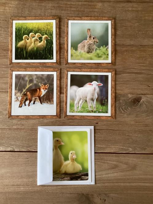 5 Blanco kaarten dieren - eendjes - vos - lammetje - konijn, Diversen, Wenskaarten, Nieuw, Ophalen of Verzenden