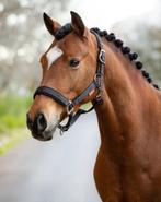 LeMieux Logo Halster Cinder Cob + Full SALE -45%!, Ophalen of Verzenden, Nieuw, Overige soorten