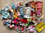 Sindy Fleur pakket, Kinderen en Baby's, Speelgoed | Poppen, Ophalen of Verzenden, Zo goed als nieuw, Barbie