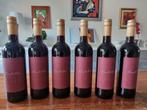 6 flessen Costilla Malbec - Argentijnse rode wijn, Ophalen