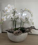 Eyecatcher! XL compleet bloemstuk incl bloempot - orchidee, Ophalen, Zo goed als nieuw, Binnen