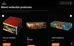Professionele Webshop op Maat laten maken