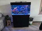 Compleet 250 liter zeeaquarium!, Dieren en Toebehoren, Vissen | Aquaria en Toebehoren, Ophalen, Gebruikt, Gevuld zeewateraquarium