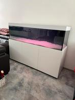Aqualife Modern Line Aquarium, Dieren en Toebehoren, Ophalen of Verzenden, Zo goed als nieuw, Leeg aquarium