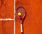 2 tickets Roland Garros halve finales (v) op 6 juni te koop, Tickets en Kaartjes, Sport | Tennis, Juni, Eén persoon