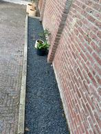 Grijs grind (gratis), Tuin en Terras, Grind, Keien en Split, Ophalen, Gebruikt, Grijs, Split