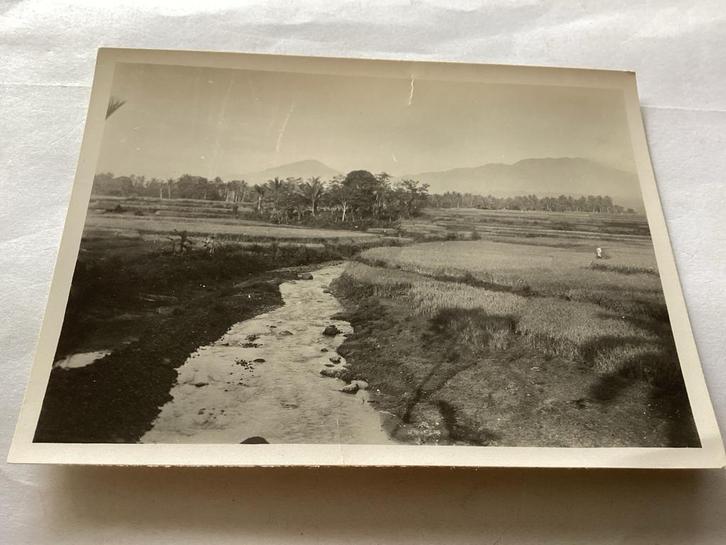 Vintage Foto: Rivier door Rijstvelden Ned Indië, Antiek en Kunst, Kunst | Tekeningen en Foto's, Ophalen of Verzenden