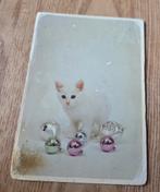 Witte poes speelt met kerstballen, Verzamelen, Ansichtkaarten | Dieren, Verzenden, 1980 tot heden, Gelopen, Hond of Kat