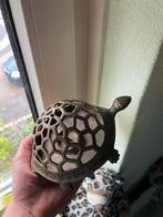 Messing schildpad voor kaarsen, Ophalen of Verzenden, Brons of Koper, Minder dan 25 cm