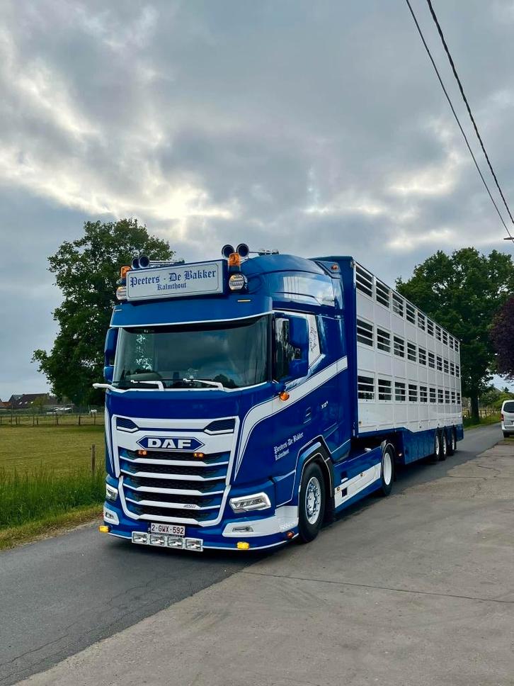 WSI   DAF XG+ MY25 +  LIVESTOCK TRAILER PEETERS DE BAKKER, Hobby en Vrije tijd, Modelauto's | 1:50, Nieuw, Bus of Vrachtwagen