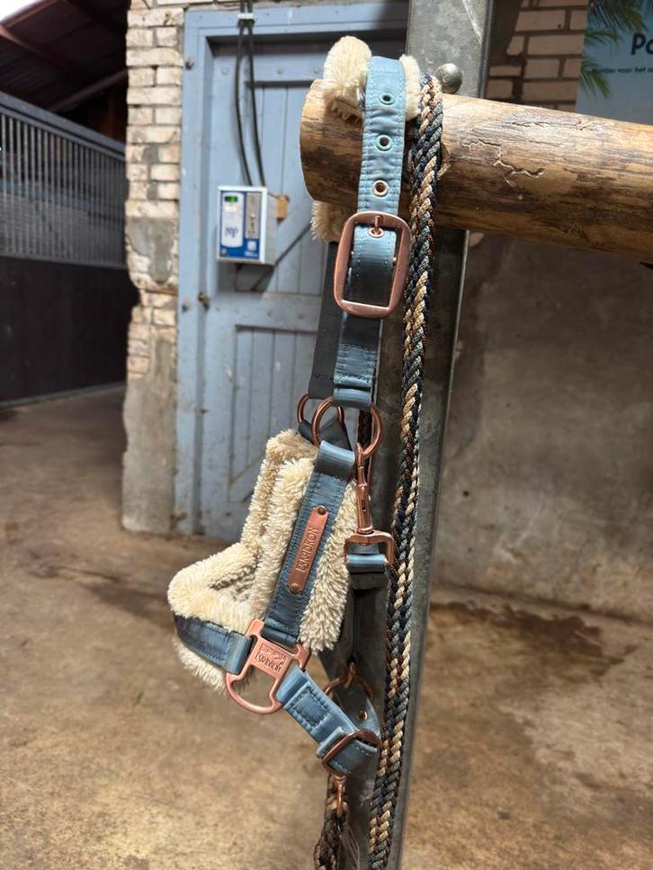 Eskadron halster pony, Dieren en Toebehoren, Paarden en Pony's | Hoofdstellen en Tuigage, Zo goed als nieuw, Overige soorten, Ophalen of Verzenden