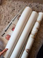 Anatomie Posters - Netjes en Als Nieuw, Ophalen of Verzenden