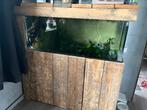 Mooi aquarium met steiger houten look, Dieren en Toebehoren, Vissen | Aquaria en Toebehoren, Ophalen, Gebruikt, Gevuld zoetwateraquarium