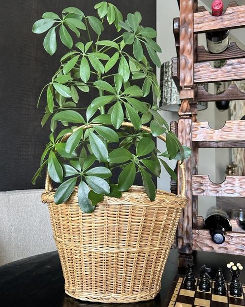 Mand met hengsel rotan vintage, Huis en Inrichting, Woonaccessoires | Schalen en Manden, Rond, Riet, Ophalen of Verzenden